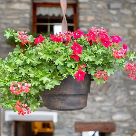 Casa Piertor Морже